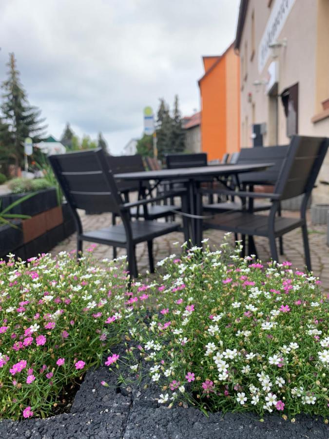 Divino Pension Zorbau Appartement Lützen Buitenkant foto